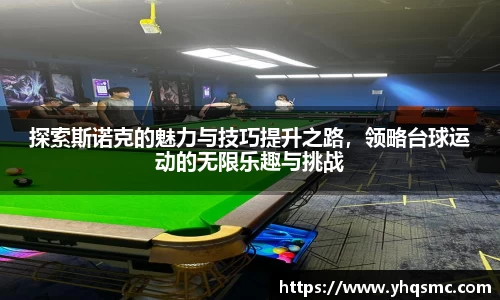探索斯诺克的魅力与技巧提升之路，领略台球运动的无限乐趣与挑战